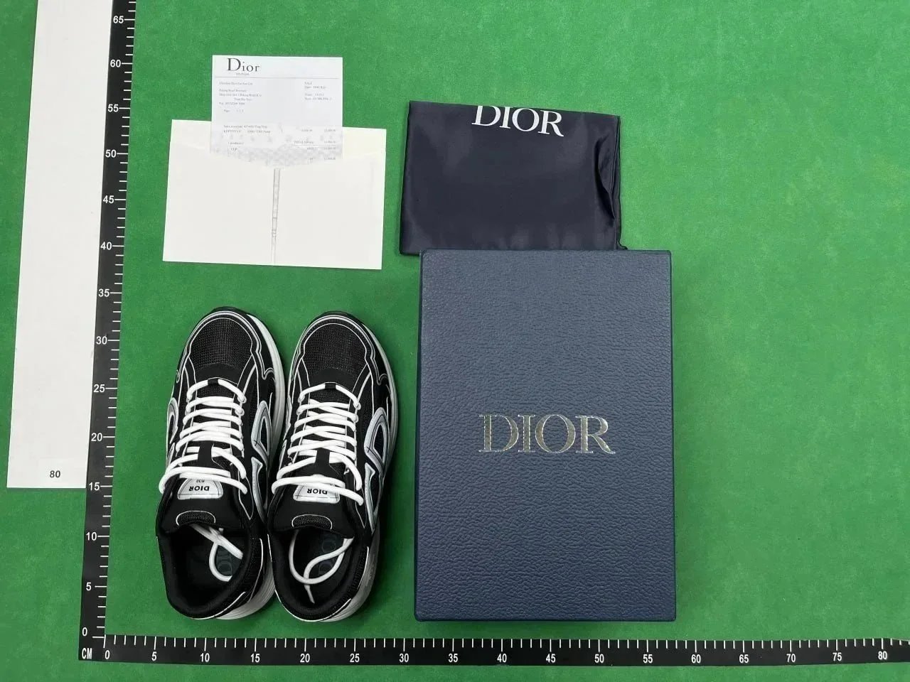 Dior B30 Triple Black shoes